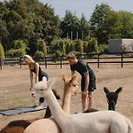 Domaine Des Hautes Fagnes 4*