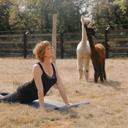 Domaine Des Hautes Fagnes 4*