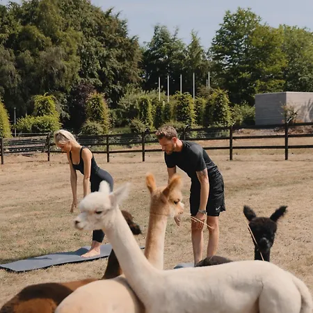 Domaine Des Hautes Fagnes 4*