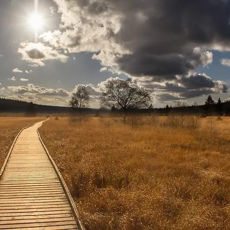 Domaine Des Hautes Fagnes 4* Ovifat