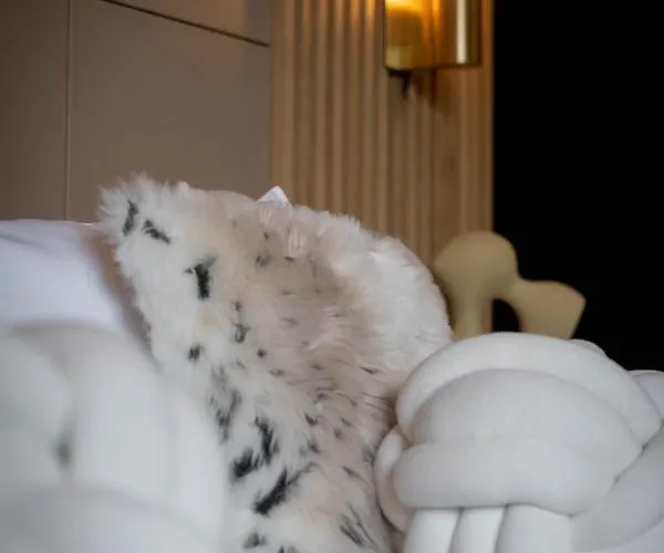 Hotel Domaine Des Hautes Fagnes Ovifat