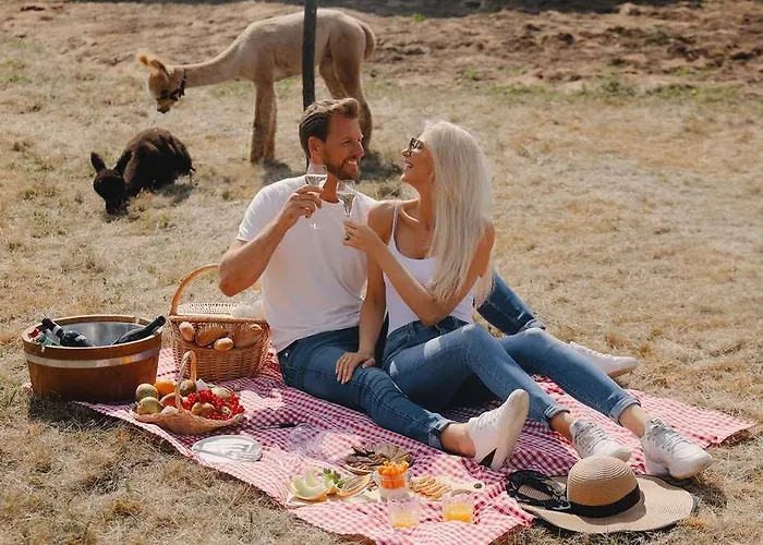 Hotel Domaine Des Hautes Fagnes 4*