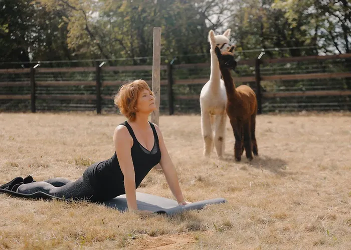 Domaine Des Hautes Fagnes 4*