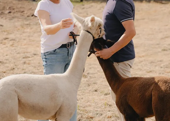 Hotel Domaine Des Hautes Fagnes Ovifat