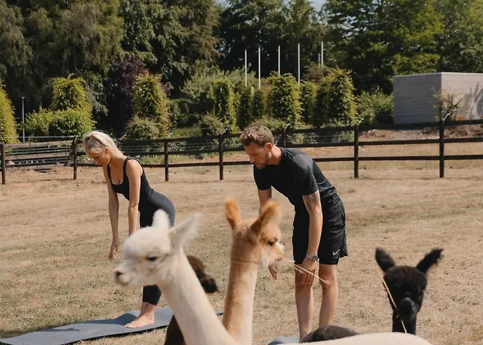 Domaine Des Hautes Fagnes 4*