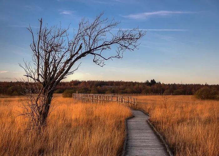 Hotel Domaine Des Hautes Fagnes Ovifat